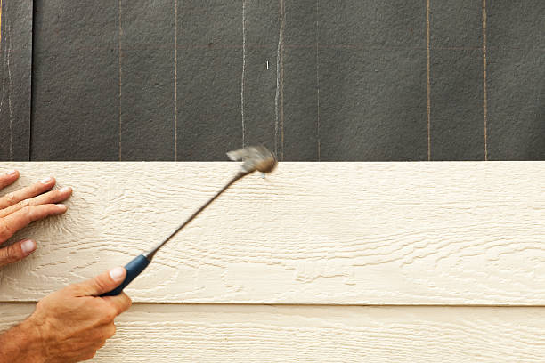 Best Stone Veneer Siding  in Placerville, CA